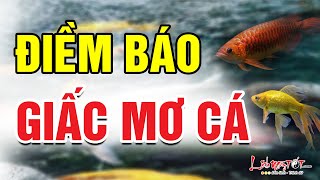 Làm gì khi nằm mơ thấy bắt được nhiều cá?