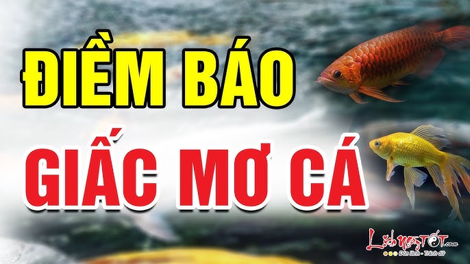 Giải mã giấc mơ thấy cá