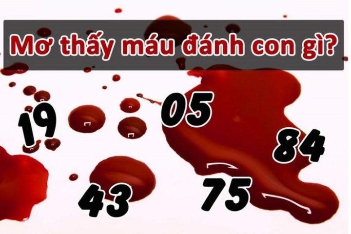 Giải mã giấc mơ chảy máu vùng kín theo từng trường hợp