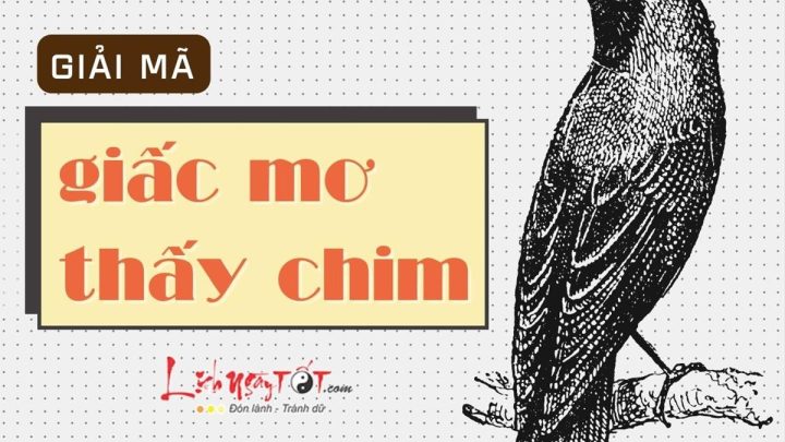Các loại chim trong giấc mơ và ý nghĩa riêng