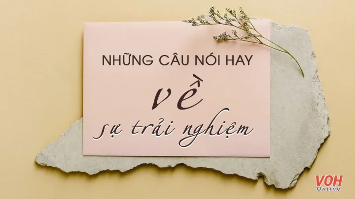 Kinh nghiệm thực tế từ những người đã trải qua