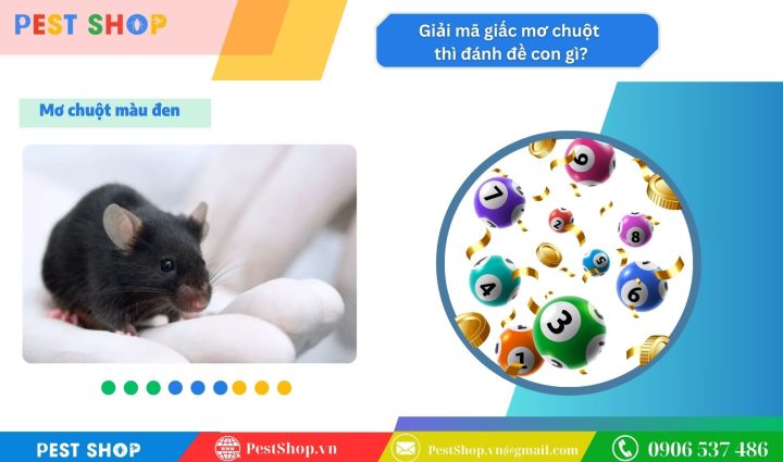 Giải mã giấc mơ thấy chuột