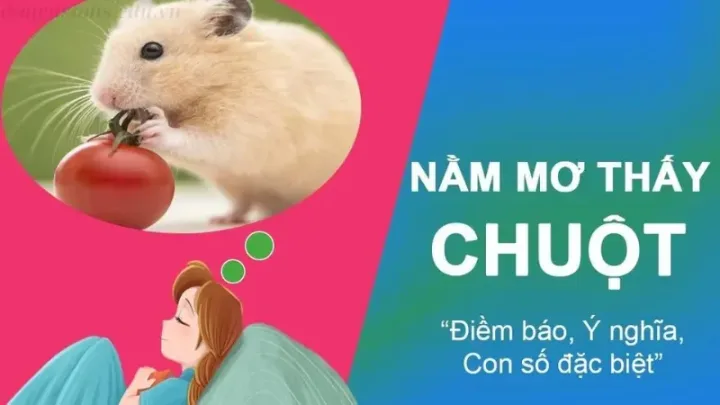 Nằm mơ thấy chuột đánh con gì?