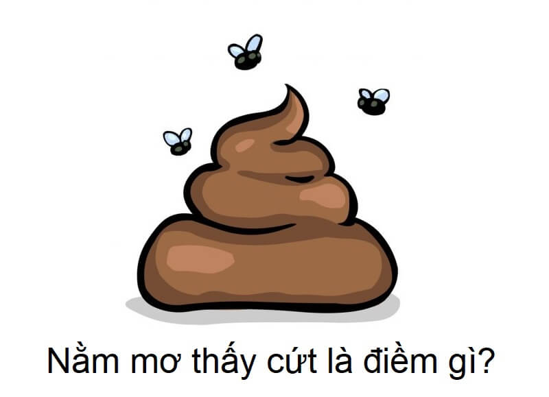 Nằm mơ thấy cứt đánh con gì?