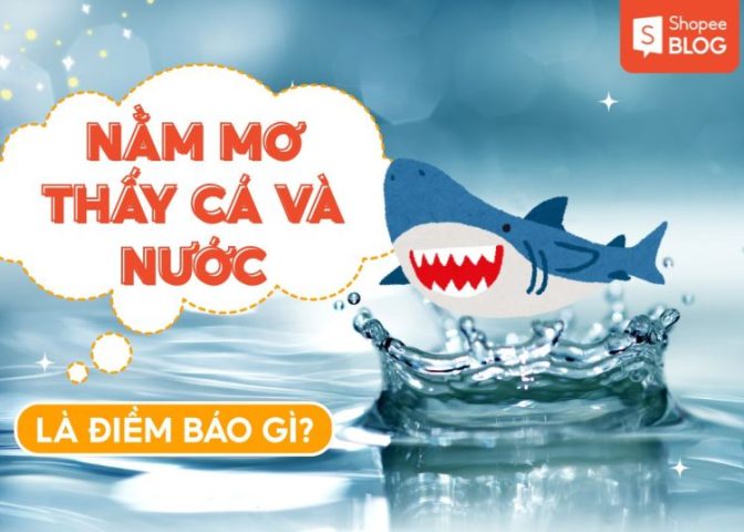 Liên Hệ Giữa Giấc Mơ và Cuộc Sống Thực Tế