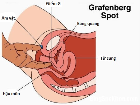 Các con số may mắn liên quan đến giấc mơ này