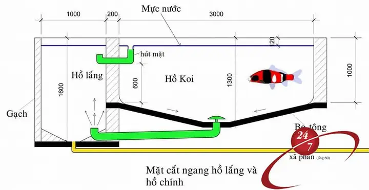 ngăn lắng hồ cá ngăn lắng hồ cá