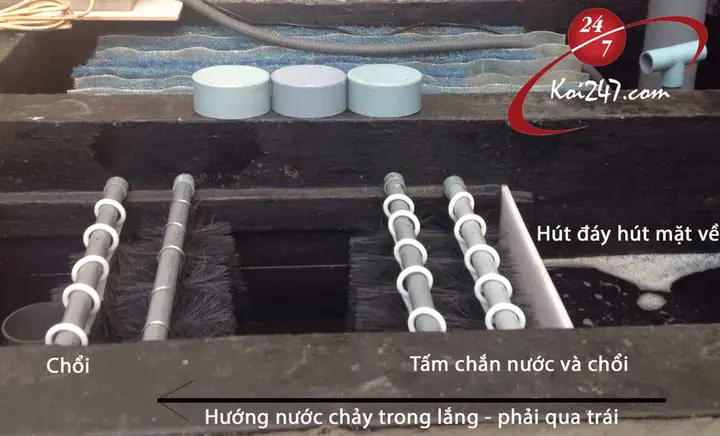 ngăn lắng hồ cá ngăn lắng hồ cá