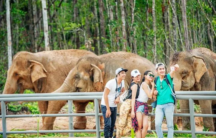 nguồn gốc cá bảy màu nguồn gốc cá bảy màu