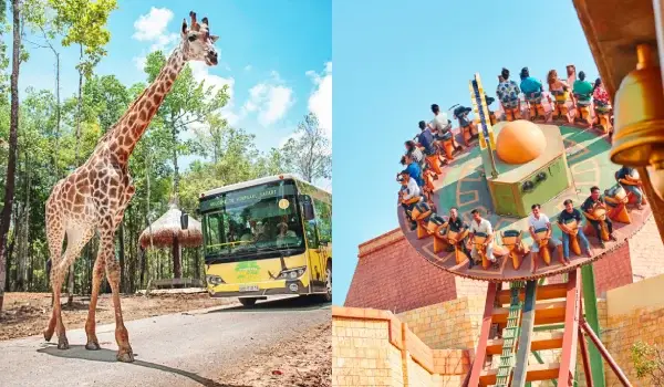 nguồn gốc cá bảy màu nguồn gốc cá bảy màu
