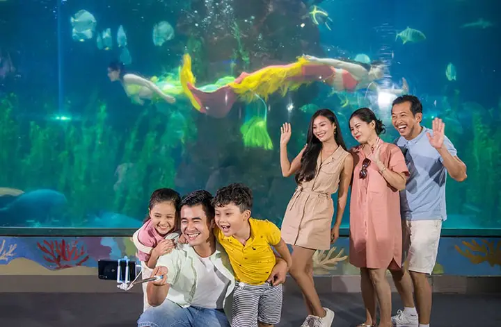 nguồn gốc cá bảy màu nguồn gốc cá bảy màu