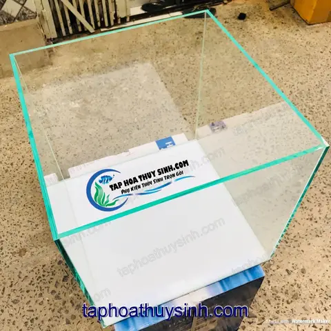 nhận làm hồ cá tphcm nhận làm hồ cá tphcm