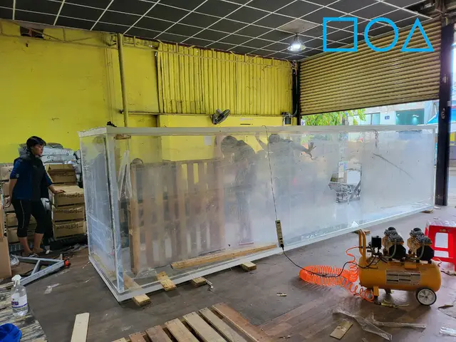 nhận làm hồ cá tphcm nhận làm hồ cá tphcm
