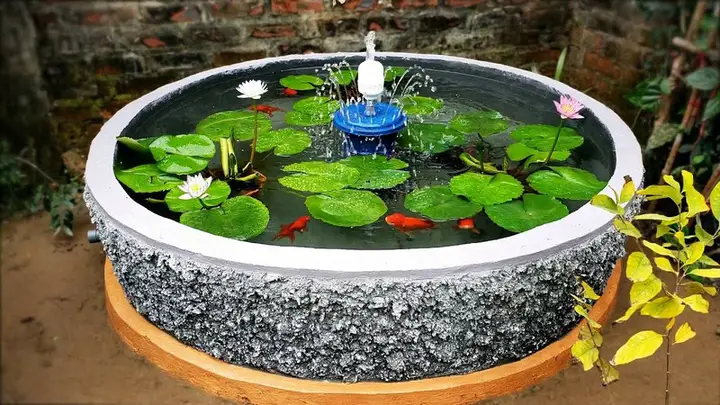 nuôi cá betta ngoài trời nuôi cá betta ngoài trời