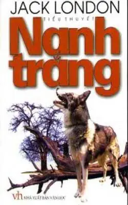 Phim Chó Sói Nanh Trắng: Hành Trình & Ý Nghĩa Tác Phẩm Kinh Điển phim chó sói nanh trắng