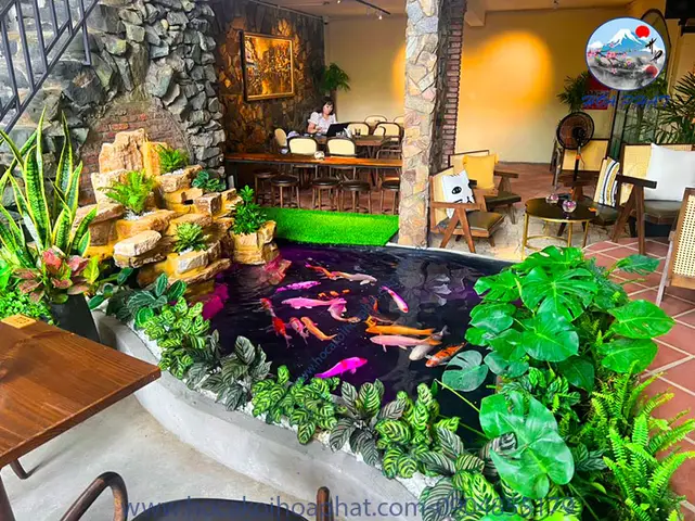 quán cafe cá cảnh quán cafe cá cảnh