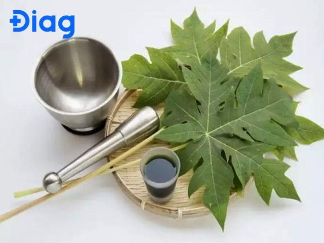 Cách điều trị sán chó mèo