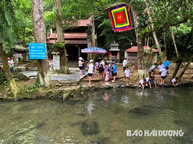 suối cá thần thanh hóa suối cá thần thanh hóa