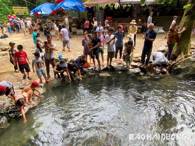 suối cá thần thanh hóa suối cá thần thanh hóa