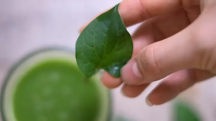 tác dụng của cá đối tác dụng của cá đối