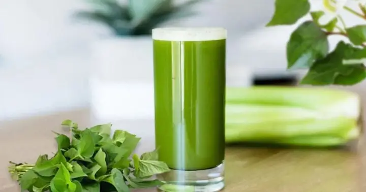 tác dụng của cá đối tác dụng của cá đối