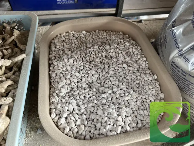 tác dụng của vật liệu lọc bể cá tác dụng của vật liệu lọc bể cá