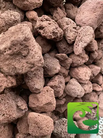 tác dụng của vật liệu lọc bể cá tác dụng của vật liệu lọc bể cá