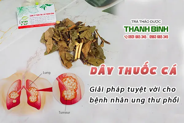 tác dụng lá thuốc cá tác dụng lá thuốc cá
