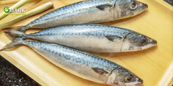 thành phần dinh dưỡng của cá saba thành phần dinh dưỡng của cá saba