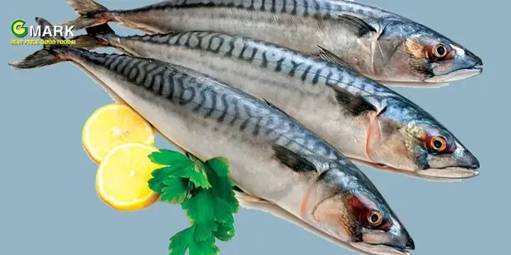 thành phần dinh dưỡng của cá saba thành phần dinh dưỡng của cá saba