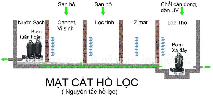 thi công hồ cá koi thi công hồ cá koi