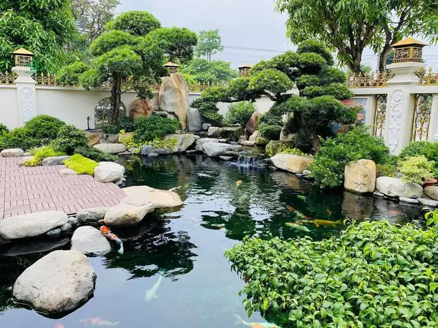 Thi Công Hồ Cá Koi: Hướng Dẫn Toàn Diện Từ A-Z Để Có Không Gian Sống Đẳng Cấp thi công hồ cá koi