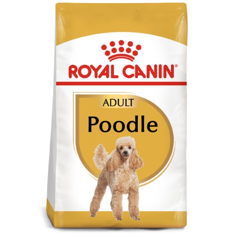 Thức Ăn Cho Chó Poodle Trưởng Thành: Chọn Lựa Dinh Dưỡng Tốt Nhất Cho Sức Khỏe Cún Thức ăn phù hợp cho chó Poodle trưởng thành