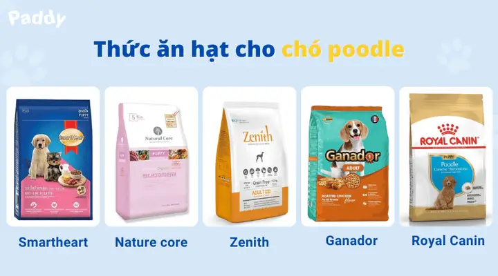 Thức ăn chất lượng cao cho chó Poodle Thức ăn dành riêng chó Poodle chất lượng cao