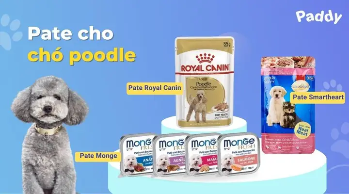Lựa chọn thức ăn Poodle theo độ tuổi Thức ăn cho Poodle theo độ tuổi và kích cỡ