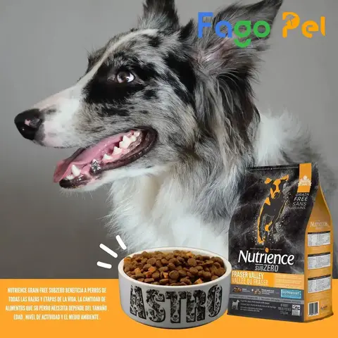 Thức ăn khô cho chó Husky - Thương hiệu đề xuất thức ăn khô cho chó husky