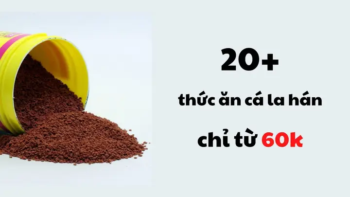 thức ăn top cho cá la hán thức ăn top cho cá la hán