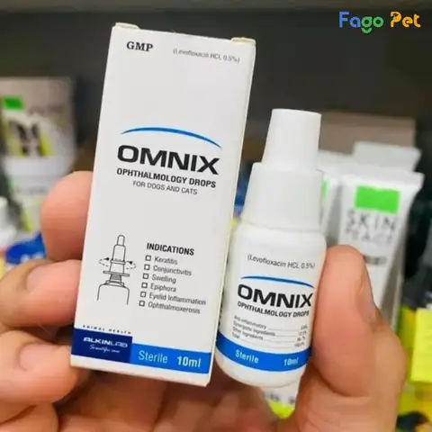 Thuốc Nhỏ Mắt Cho Chó: Hướng Dẫn Toàn Diện Từ Chuyên Gia Bảo Vệ Đôi Mắt Tinh Anh thuốc nhỏ mắt cho chó