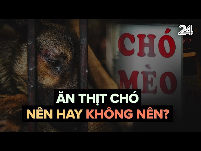 Kinh nghiệm thưởng thức thịt chó đúng cách