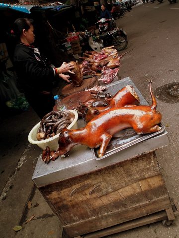 Những quán thịt chó mới nổi, đáng thử