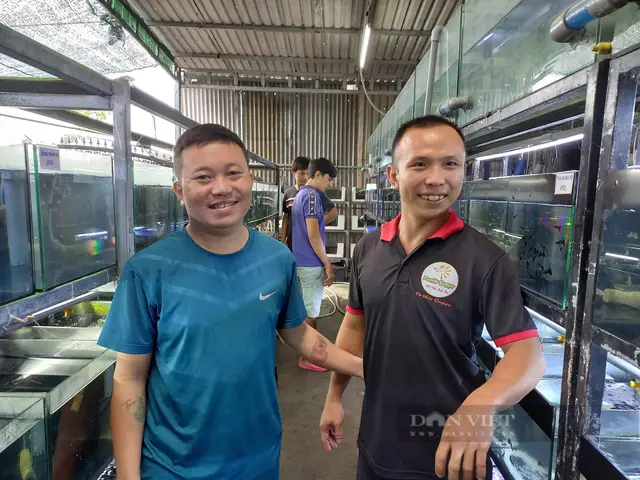 trại cá bảy màu đồng nai