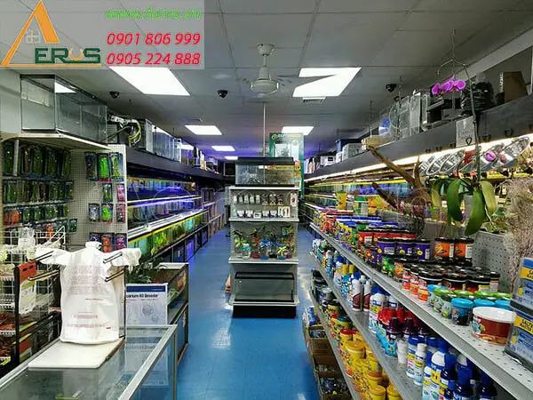 trại cá betta tây ninh trại cá betta tây ninh