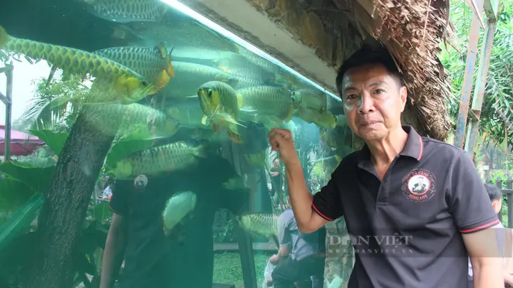 trại cá rồng tphcm