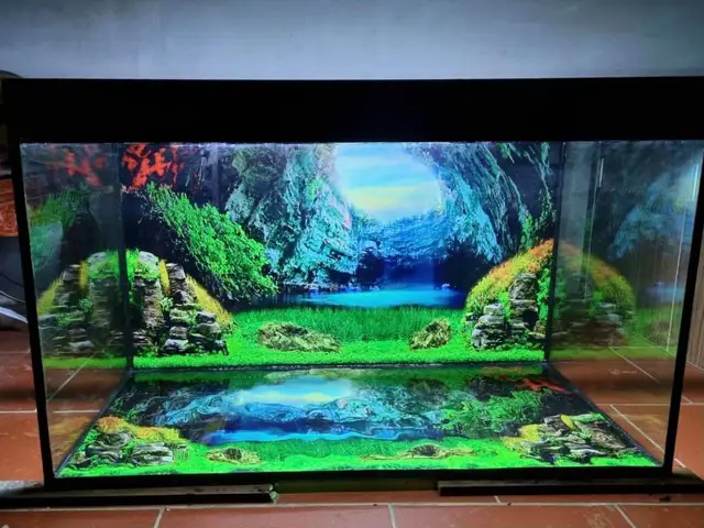 tranh 3d dán đáy bể cá rồng tranh 3d dán đáy bể cá rồng