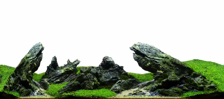 tranh 3d hồ cá