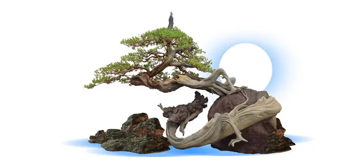 tranh 3d hồ cá