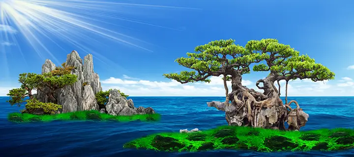 tranh 3d hồ cá