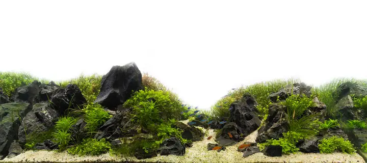 tranh 3d hồ cá