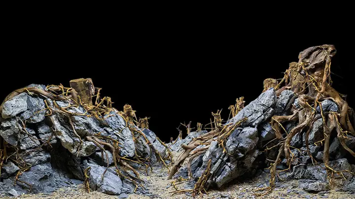 tranh 3d hồ cá