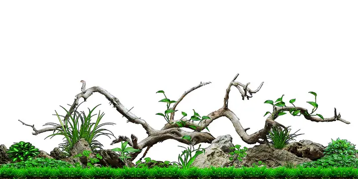 tranh 3d hồ cá